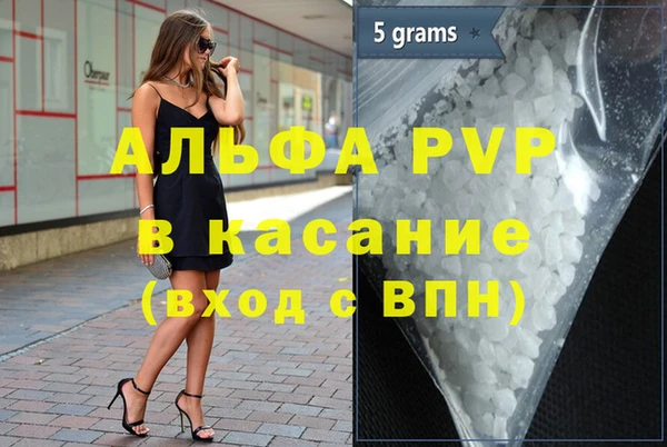 ГАЛЛЮЦИНОГЕННЫЕ ГРИБЫ Белокуриха