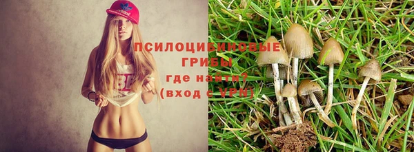 MESCALINE Богородицк