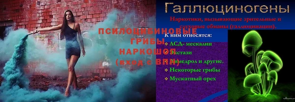 Альфа ПВП Аркадак