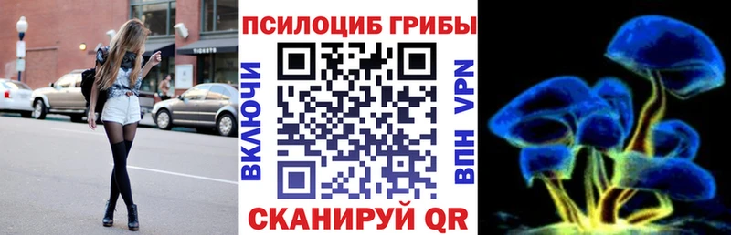 Псилоцибиновые грибы Psilocybine cubensis  купить   Ясногорск 